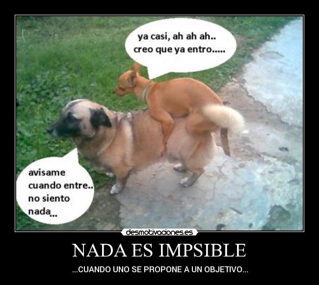 NADA ES IMPSIBLE -