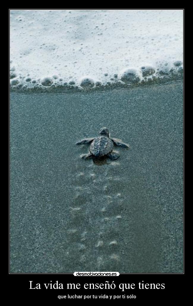 La vida me enseñó que tienes - que luchar por tu vida y por ti sólo