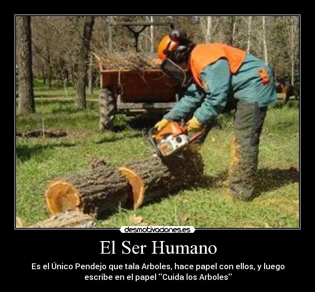 carteles pendejo humano arboles tala desmotivaciones