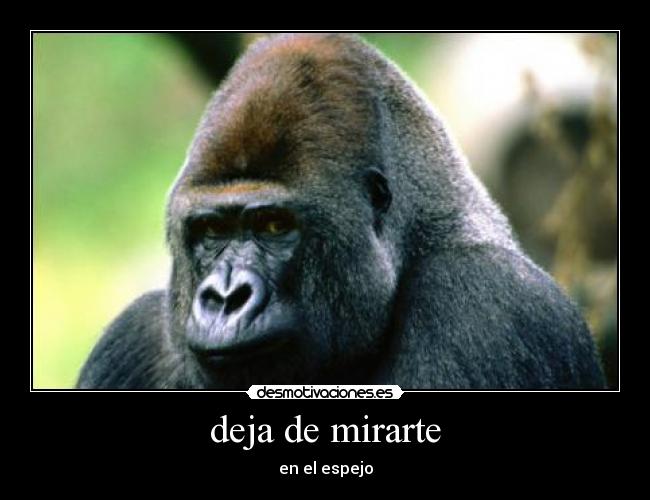deja de mirarte - 