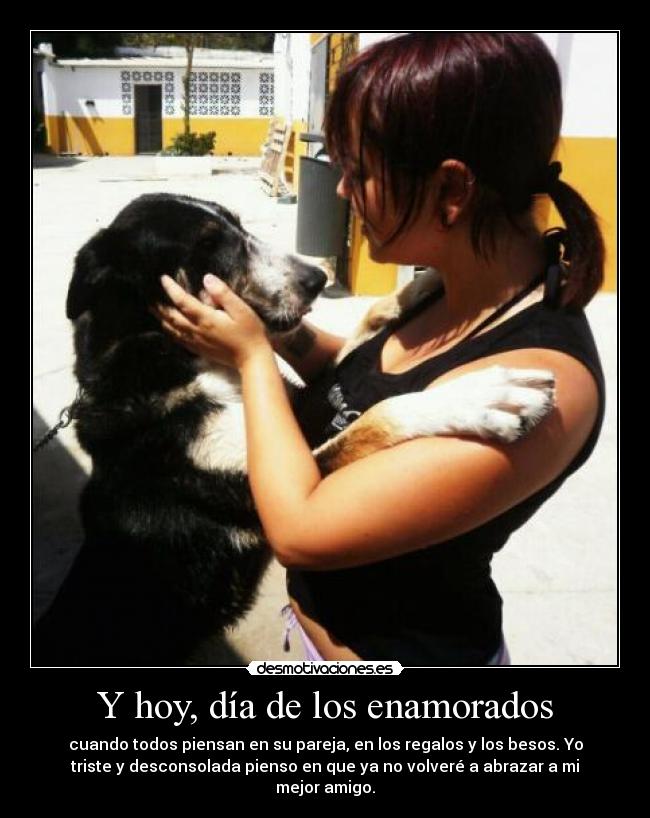 Y hoy, día de los enamorados - cuando todos piensan en su pareja, en los regalos y los besos. Yo
triste y desconsolada pienso en que ya no volveré a abrazar a mi
mejor amigo.