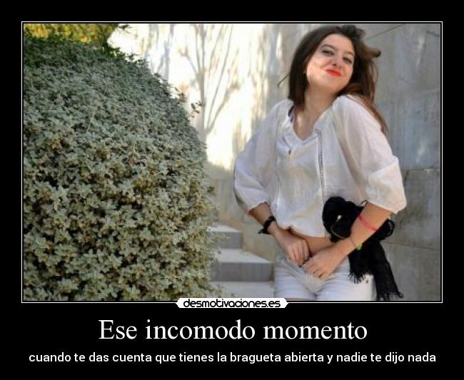 carteles bragueta desmotivaciones