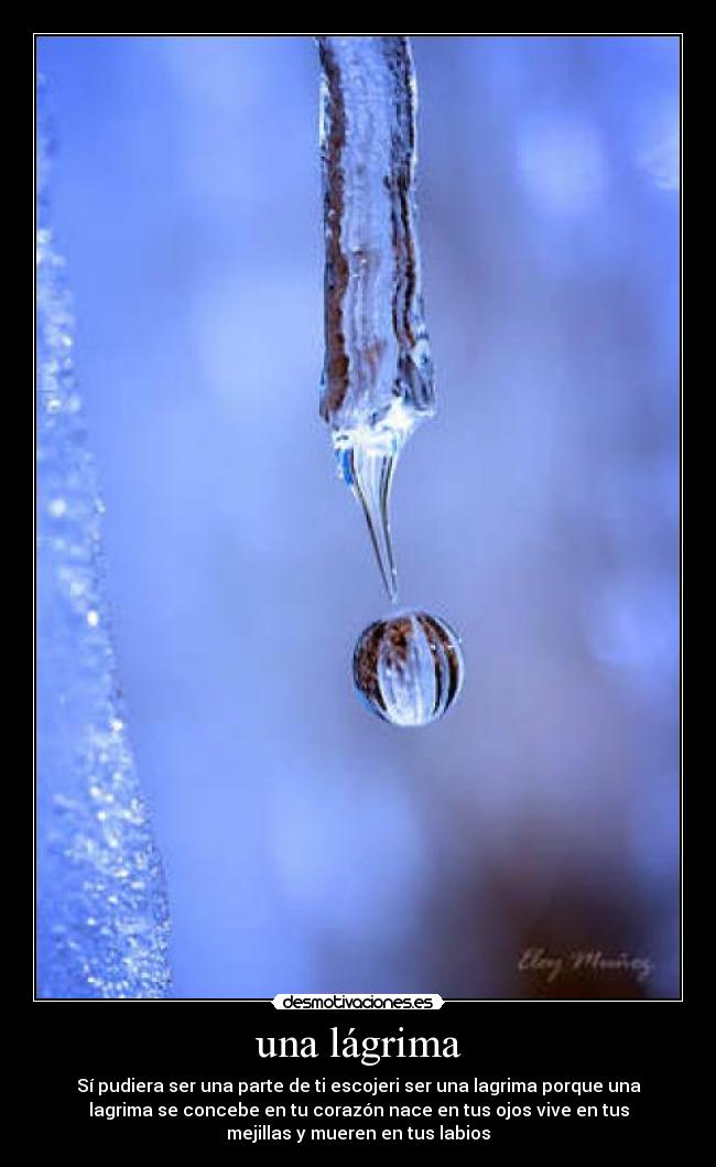 una lágrima - Sí pudiera ser una parte de ti escojeri ser una lagrima porque una
lagrima se concebe en tu corazón nace en tus ojos vive en tus
mejillas y mueren en tus labios