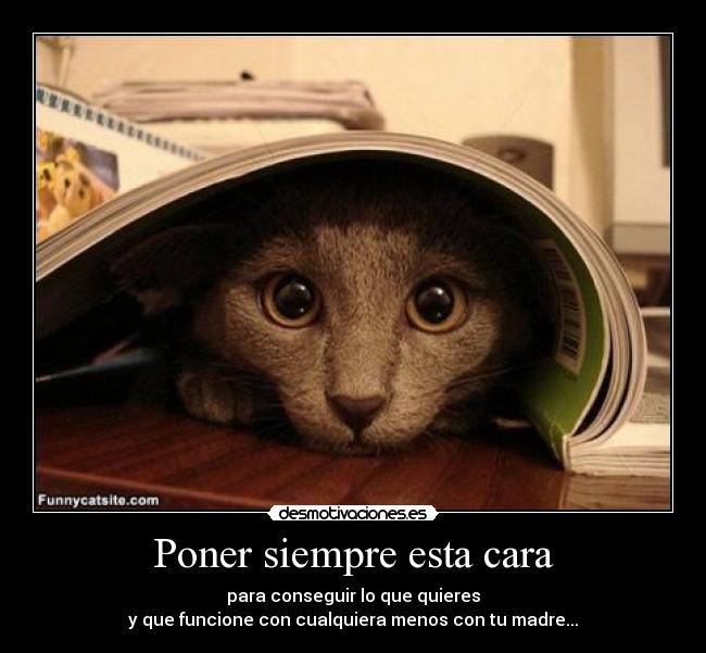 Poner siempre esta cara - para conseguir lo que quieres
y que funcione con cualquiera menos con tu madre...