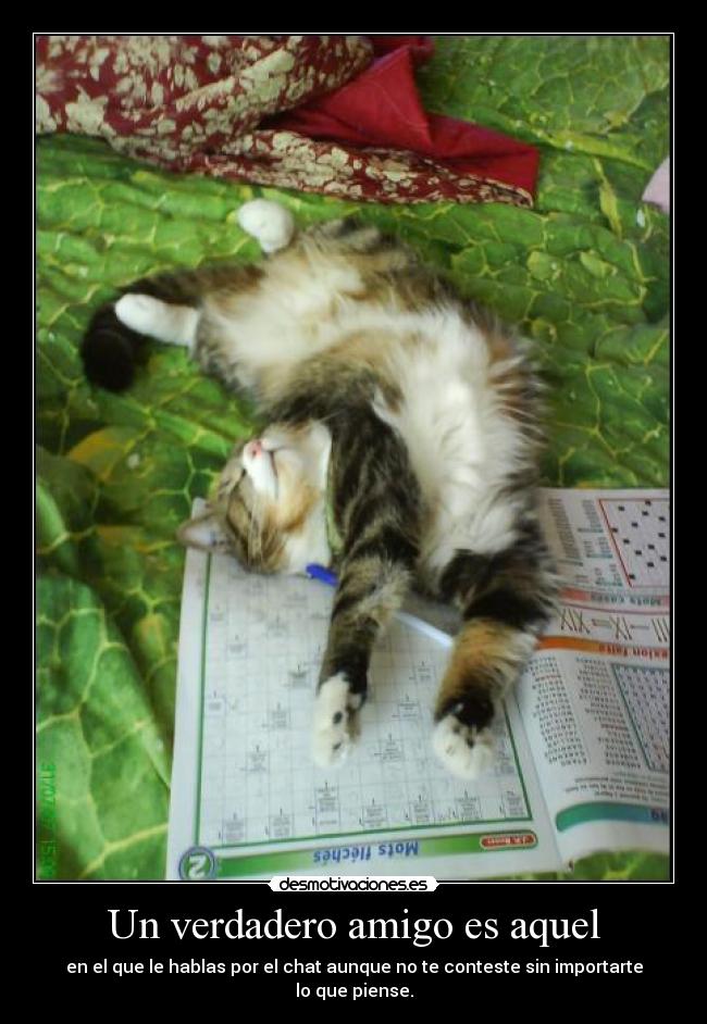 Un verdadero amigo es aquel - en el que le hablas por el chat aunque no te conteste sin importarte lo que piense.