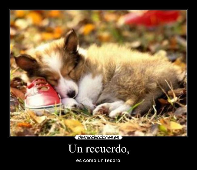 Un recuerdo, - es como un tesoro.