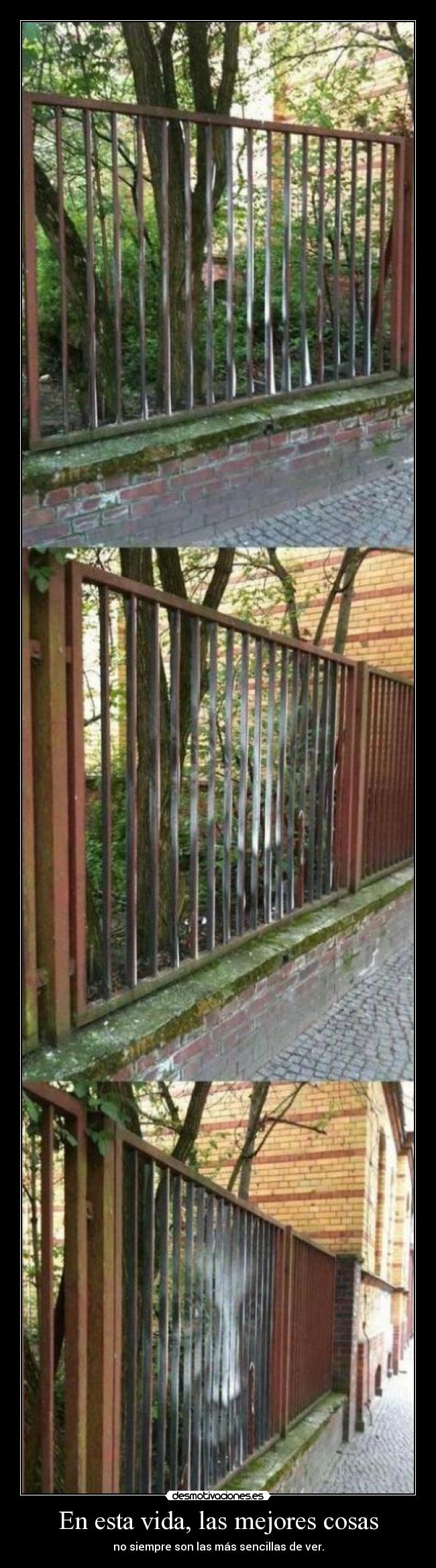 En esta vida, las mejores cosas - no siempre son las más sencillas de ver.