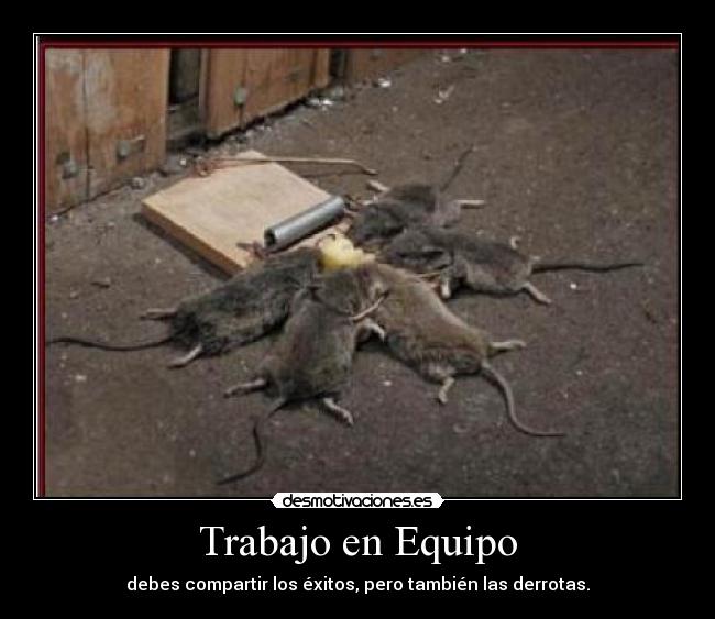 Trabajo en Equipo -