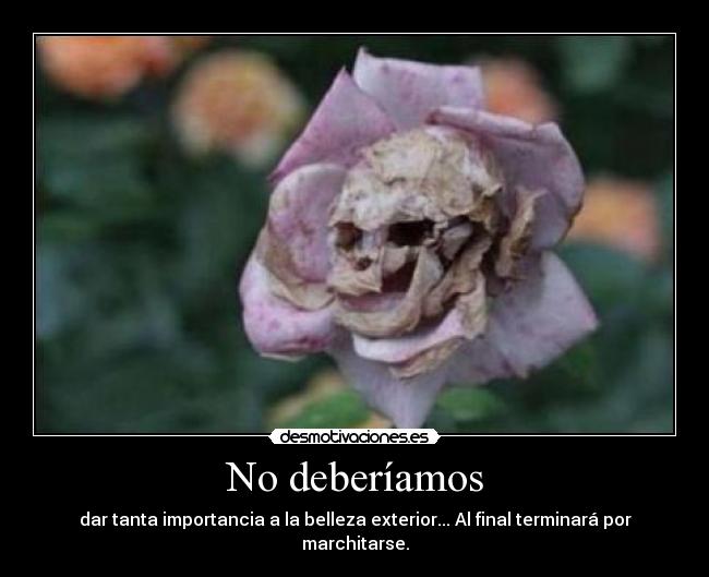 No deberíamos - dar tanta importancia a la belleza exterior... Al final terminará por marchitarse.