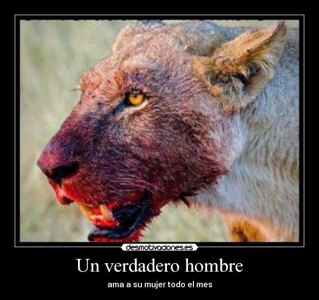 Un verdadero hombre - ama a su mujer todo el mes