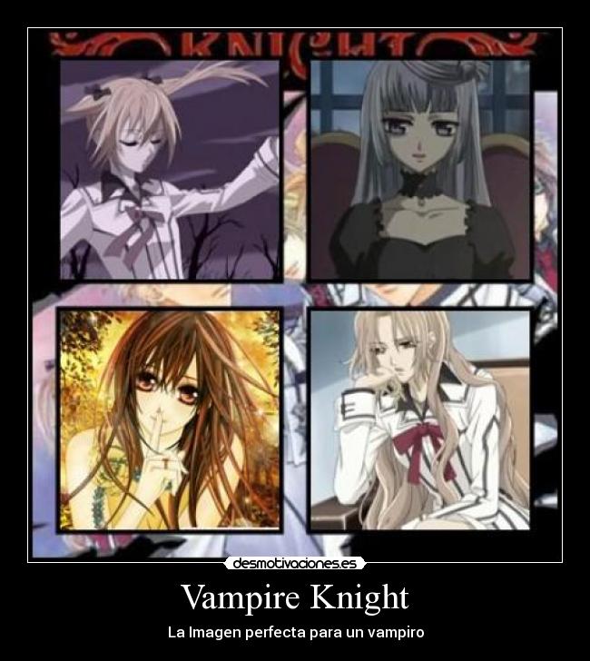 Vampire Knight -