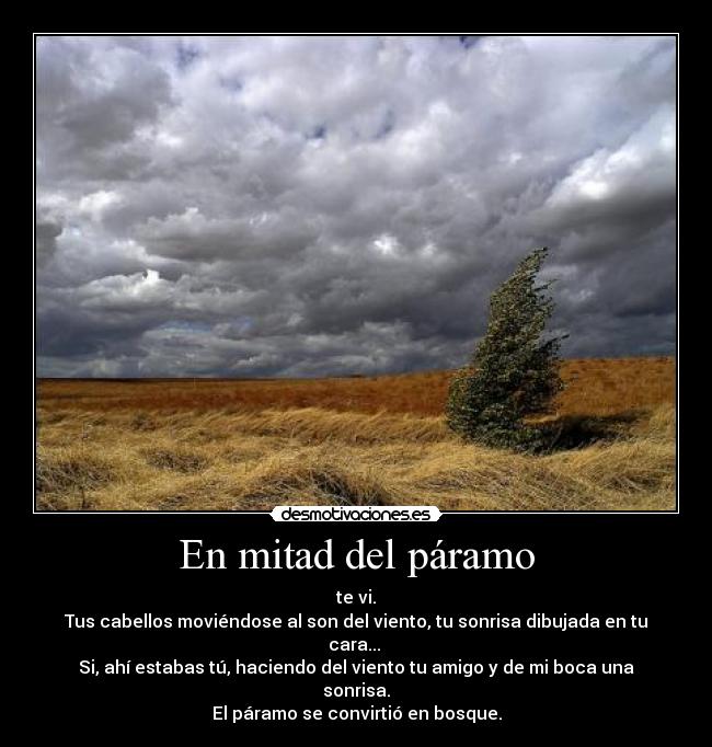 En mitad del páramo - te vi.
Tus cabellos moviéndose al son del viento, tu sonrisa dibujada en tu cara... 
Si, ahí estabas tú, haciendo del viento tu amigo y de mi boca una sonrisa.
El páramo se convirtió en bosque.