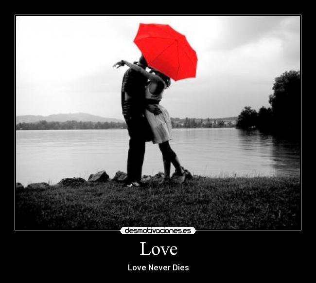 Love - 