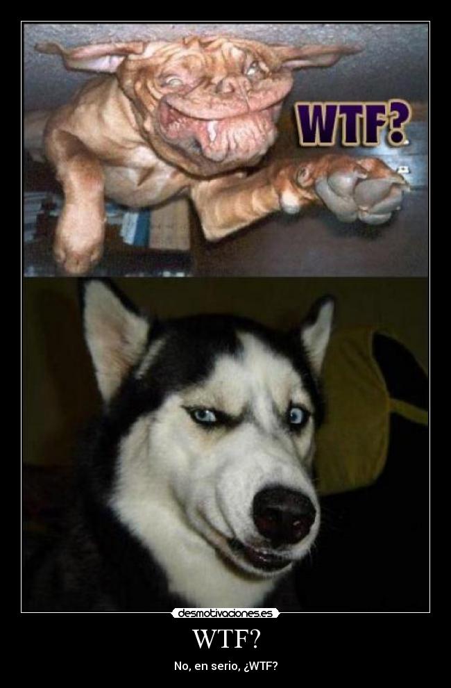 WTF? - No, en serio, ¿WTF?