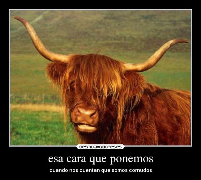 esa cara que ponemos - 