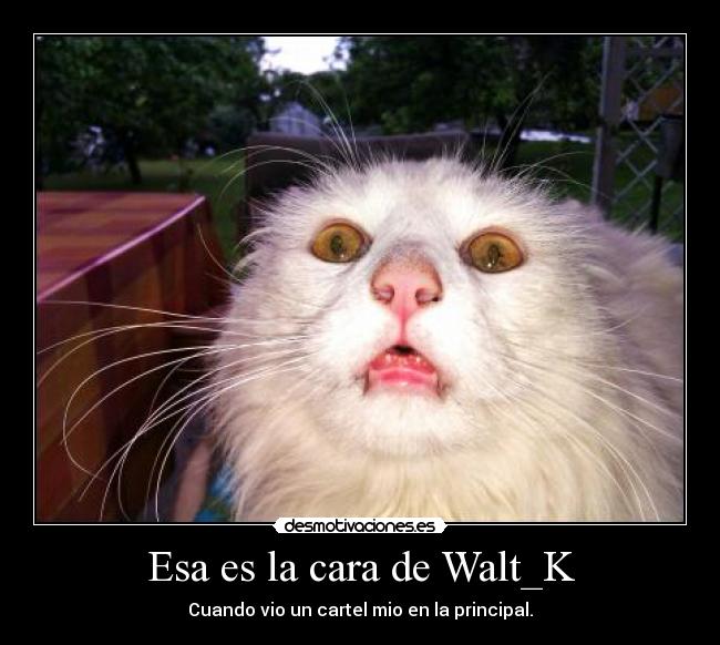 Esa es la cara de Walt_K - Cuando vio un cartel mio en la principal.