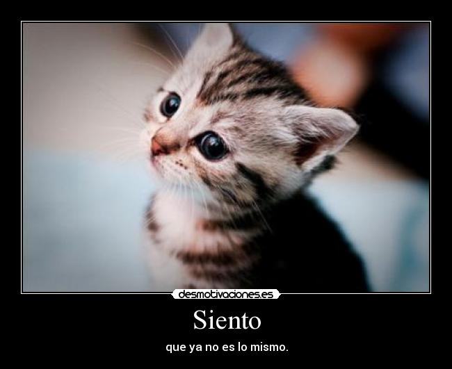 Siento - que ya no es lo mismo.