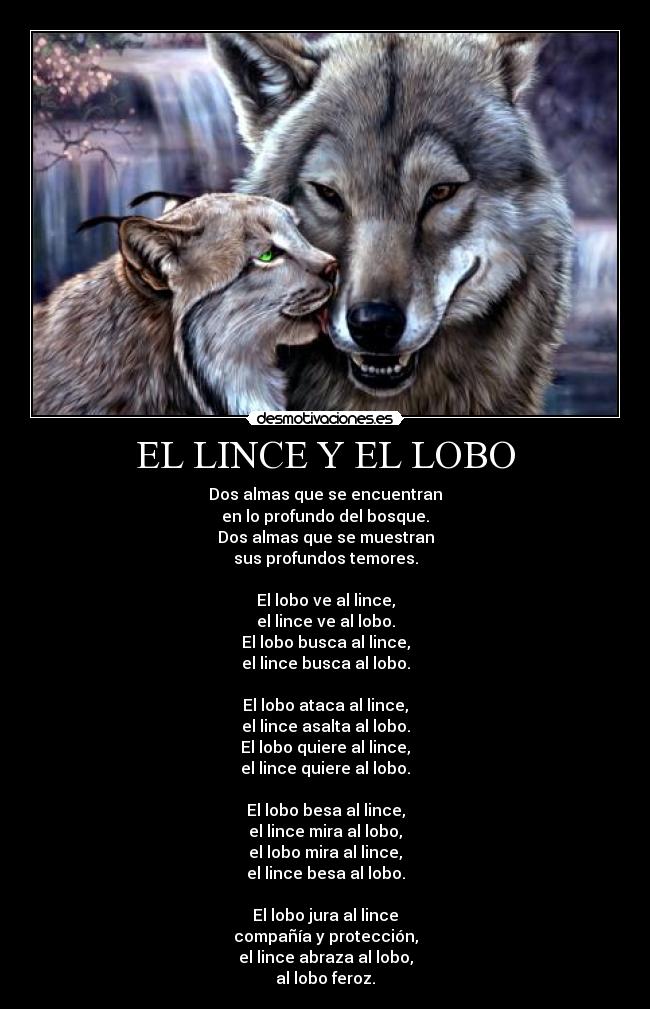 EL LINCE Y EL LOBO - Dos almas que se encuentran
en lo profundo del bosque.
Dos almas que se muestran
sus profundos temores.

El lobo ve al lince,
el lince ve al lobo.
El lobo busca al lince,
el lince busca al lobo.

El lobo ataca al lince,
el lince asalta al lobo.
El lobo quiere al lince,
el lince quiere al lobo.

El lobo besa al lince,
el lince mira al lobo,
el lobo mira al lince,
el lince besa al lobo.

El lobo jura al lince
compañía y protección,
el lince abraza al lobo,
al lobo feroz.