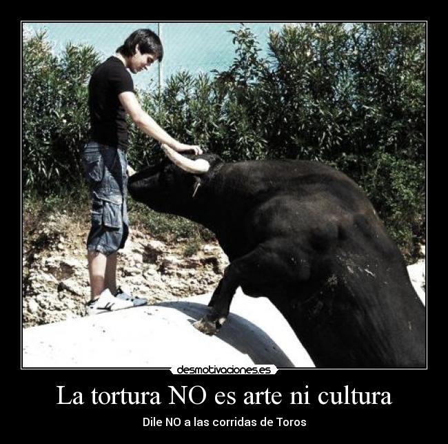 La tortura NO es arte ni cultura -