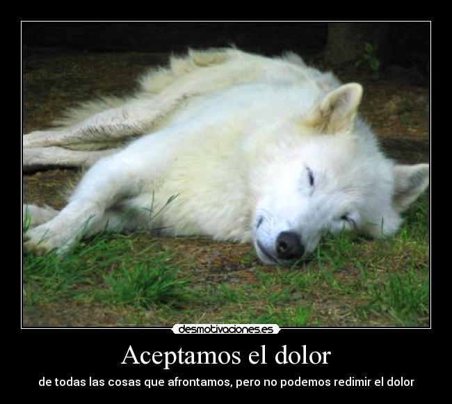 Aceptamos el dolor - de todas las cosas que afrontamos, pero no podemos redimir el dolor