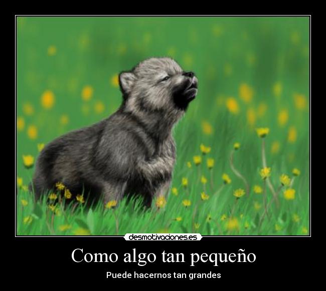 carteles lobo cachorro desmotivaciones