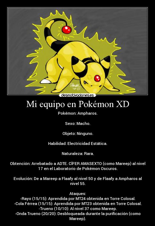 Mi equipo en Pokémon XD -