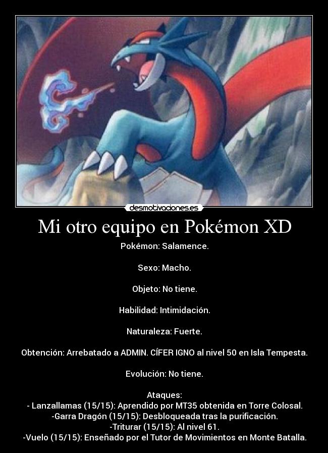 Mi otro equipo en Pokémon XD -