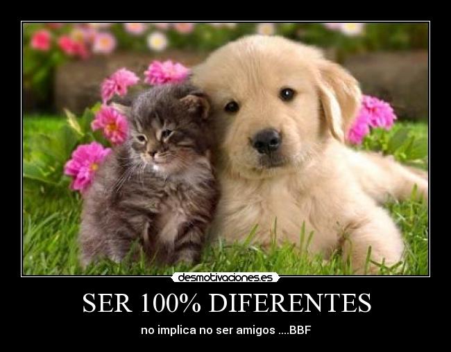 carteles jaziel desmotivaciones