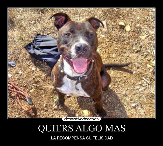 carteles son megores uno mismo desmotivaciones