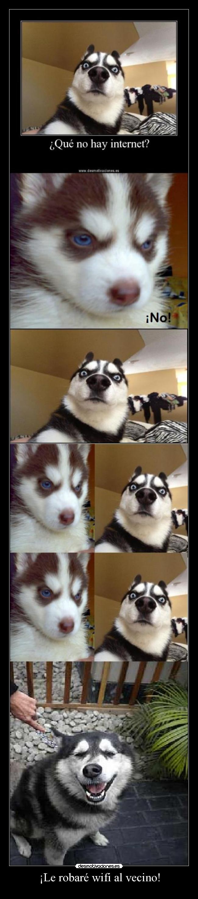 ¡Le robaré wifi al vecino! - 