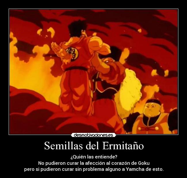 Semillas del Ermitaño - ¿Quién las entiende?
No pudieron curar la afección al corazón de Goku
pero si pudieron curar sin problema alguno a Yamcha de esto.