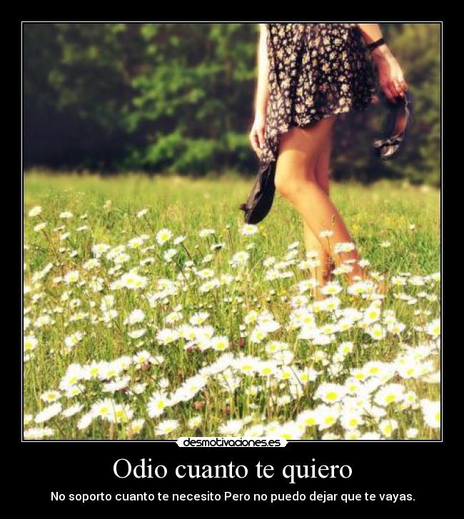 carteles odio soporto cuanto necesito pero puedo dejar que vayas desmotivaciones