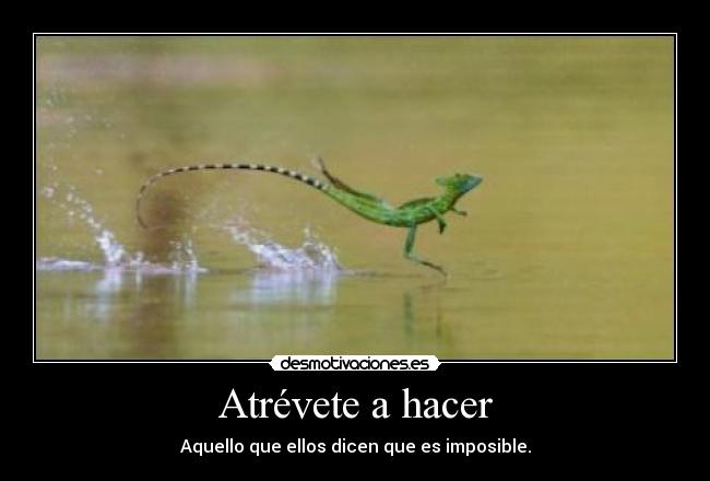 carteles moxxa desmotivaciones