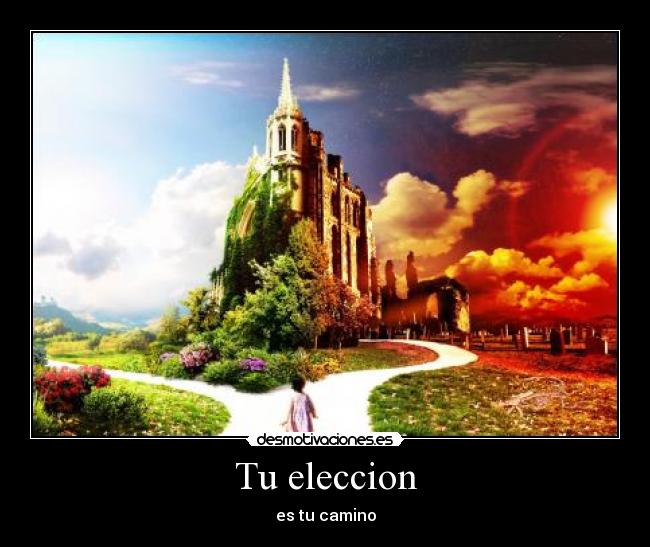 Tu eleccion - 