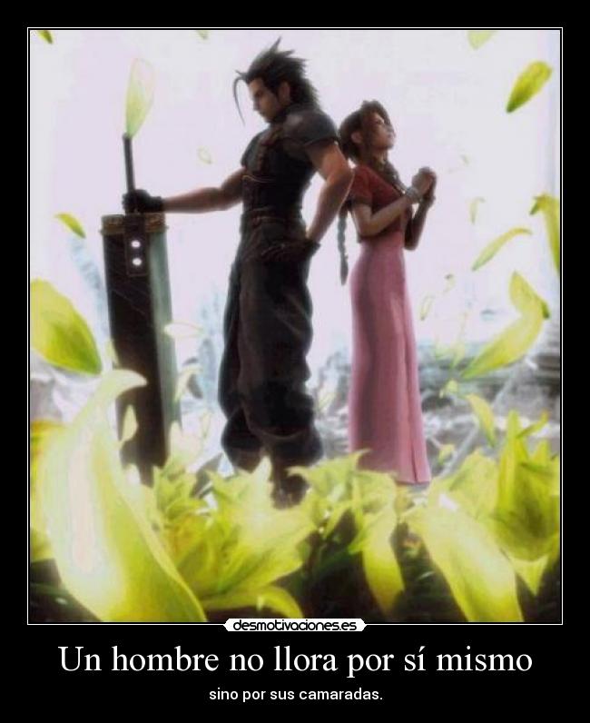 carteles llorar por camaradas desmotivaciones