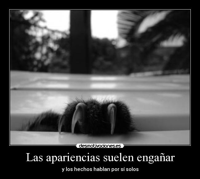 Las apariencias suelen engañar - 
