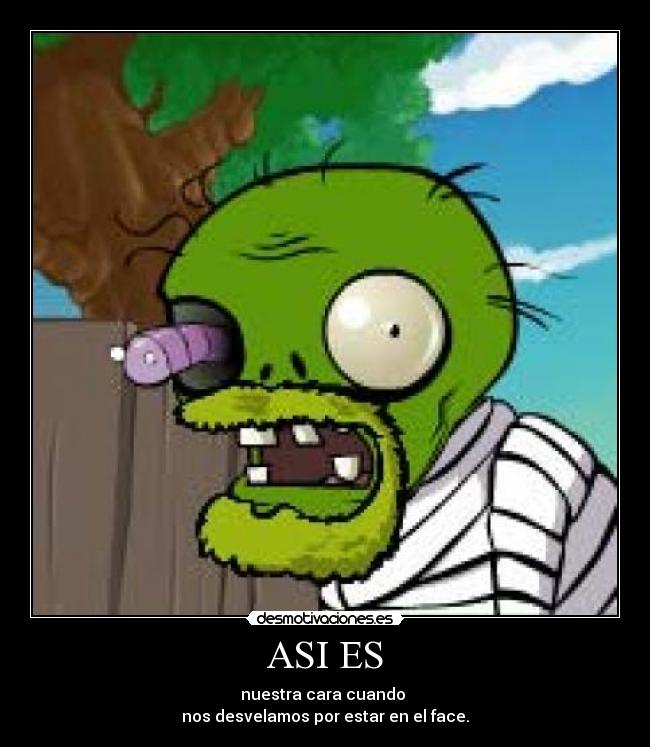 ASI ES - nuestra cara cuando
nos desvelamos por estar en el face.