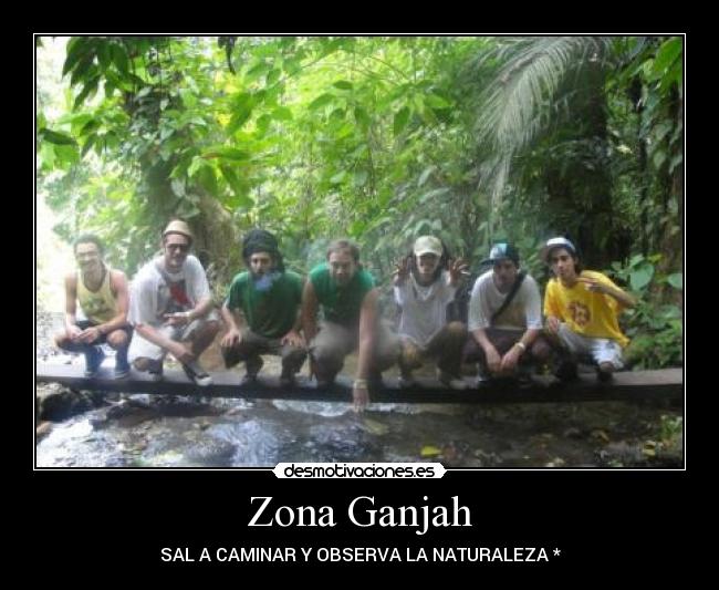 carteles comovos desmotivaciones