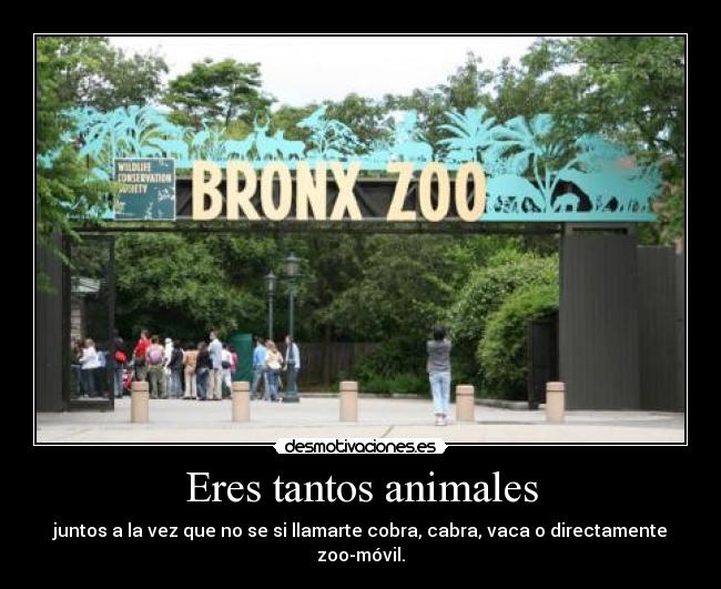 Eres tantos animales - juntos a la vez que no se si llamarte cobra, cabra, vaca o directamente
zoo-móvil.