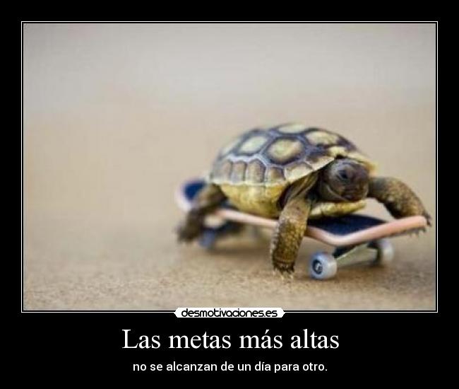 Las metas más altas - no se alcanzan de un día para otro.