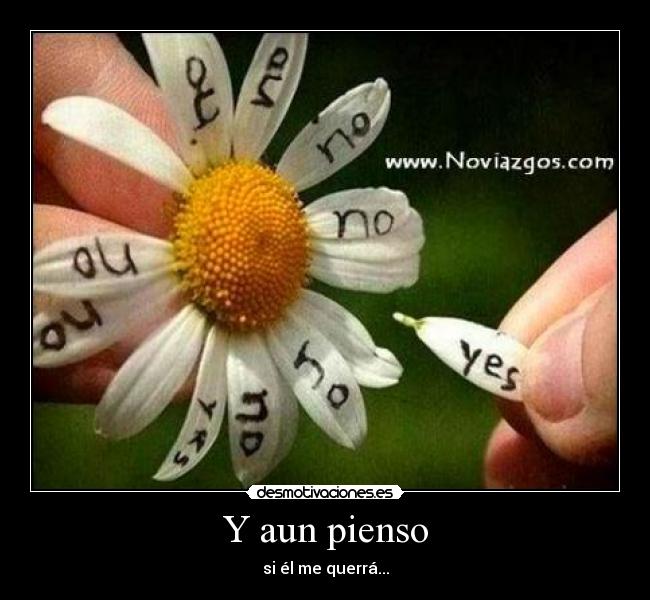 Y aun pienso - 