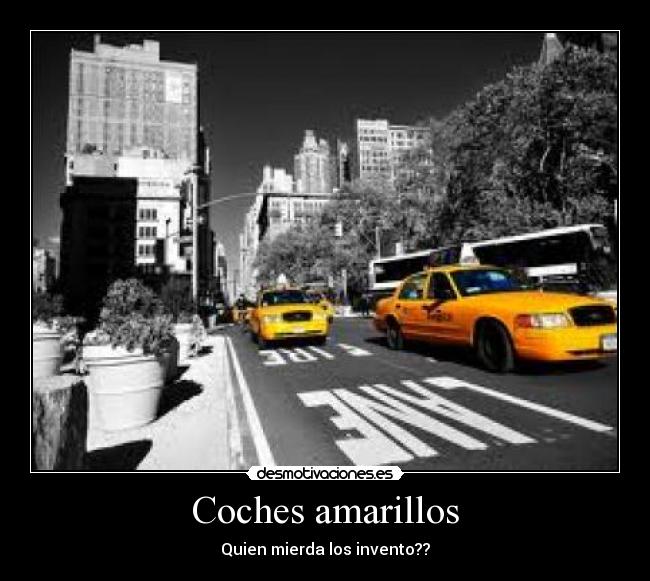 Coches amarillos - 