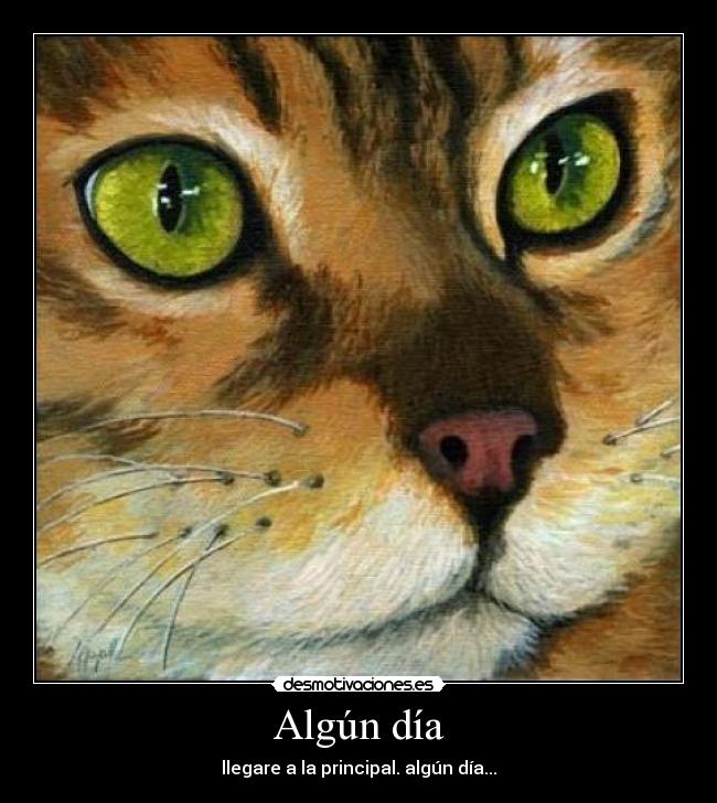 carteles lol gatosprincipal desmotivaciones