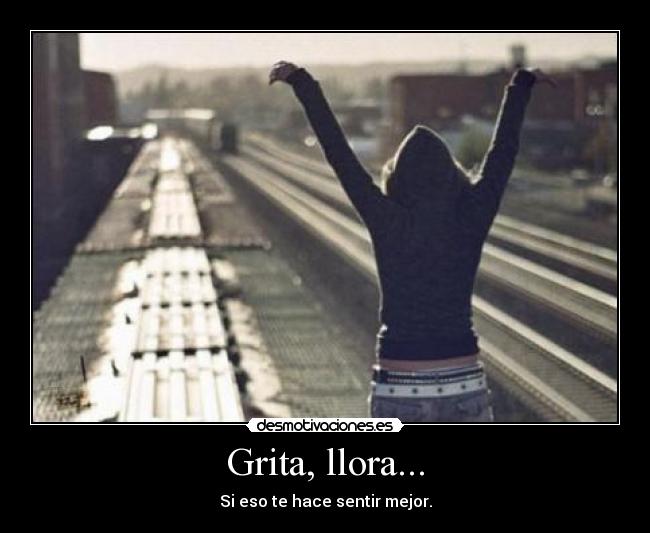Grita, llora... - Si eso te hace sentir mejor.