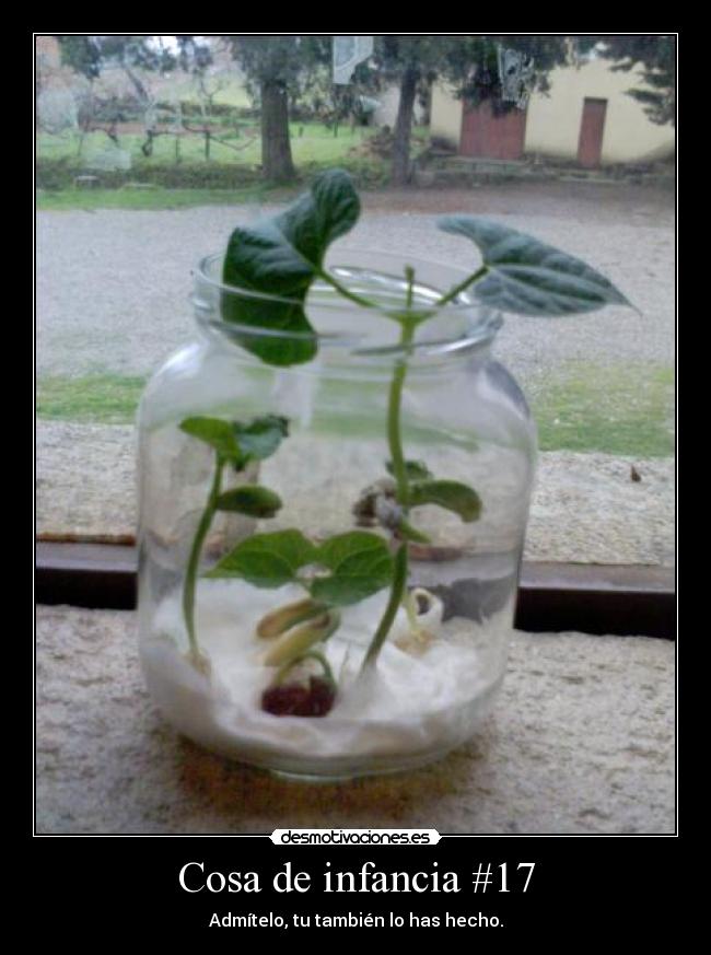 Cosa de infancia #17 - Admítelo, tu también lo has hecho.