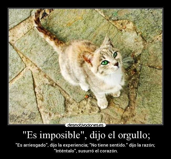 Es imposible, dijo el orgullo; -