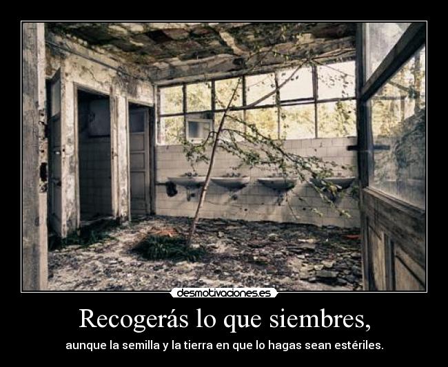 Recogerás lo que siembres, -