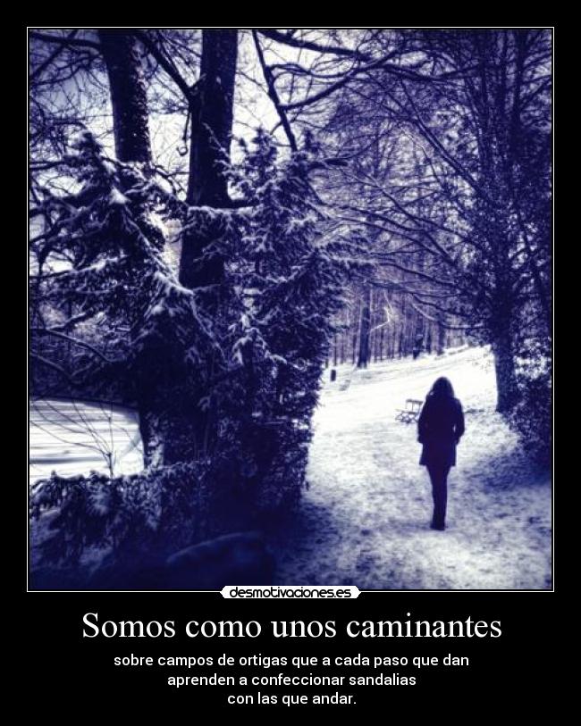 carteles lalalalala desmotivaciones