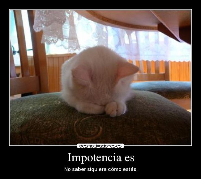 Impotencia es - 