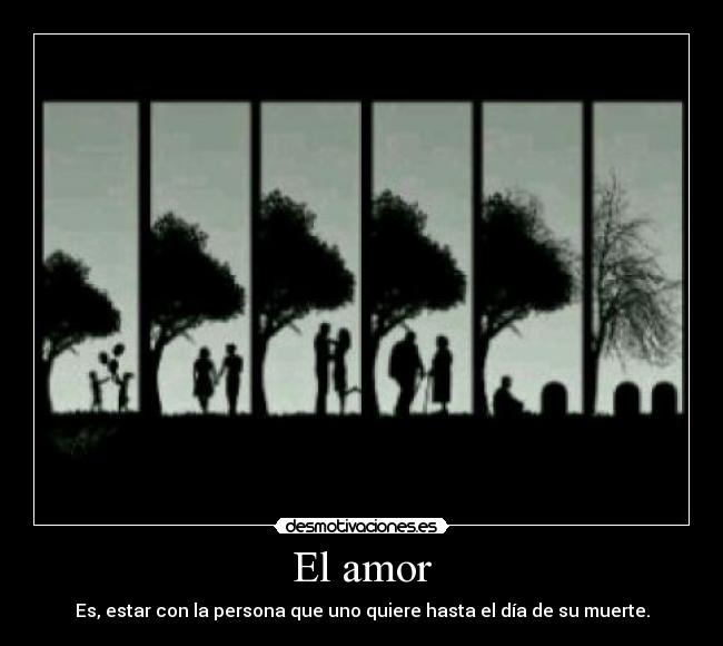 El amor -